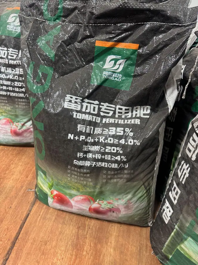 International client visit at a Tongao facility