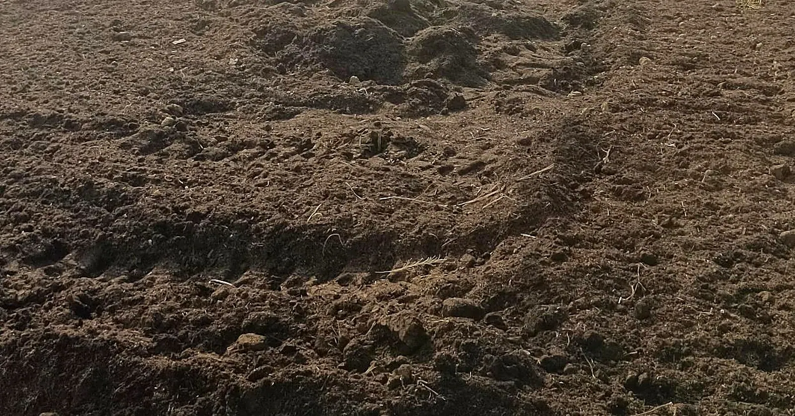 Tongao growing substrate produced under greenhouse conditions in Jiaxing