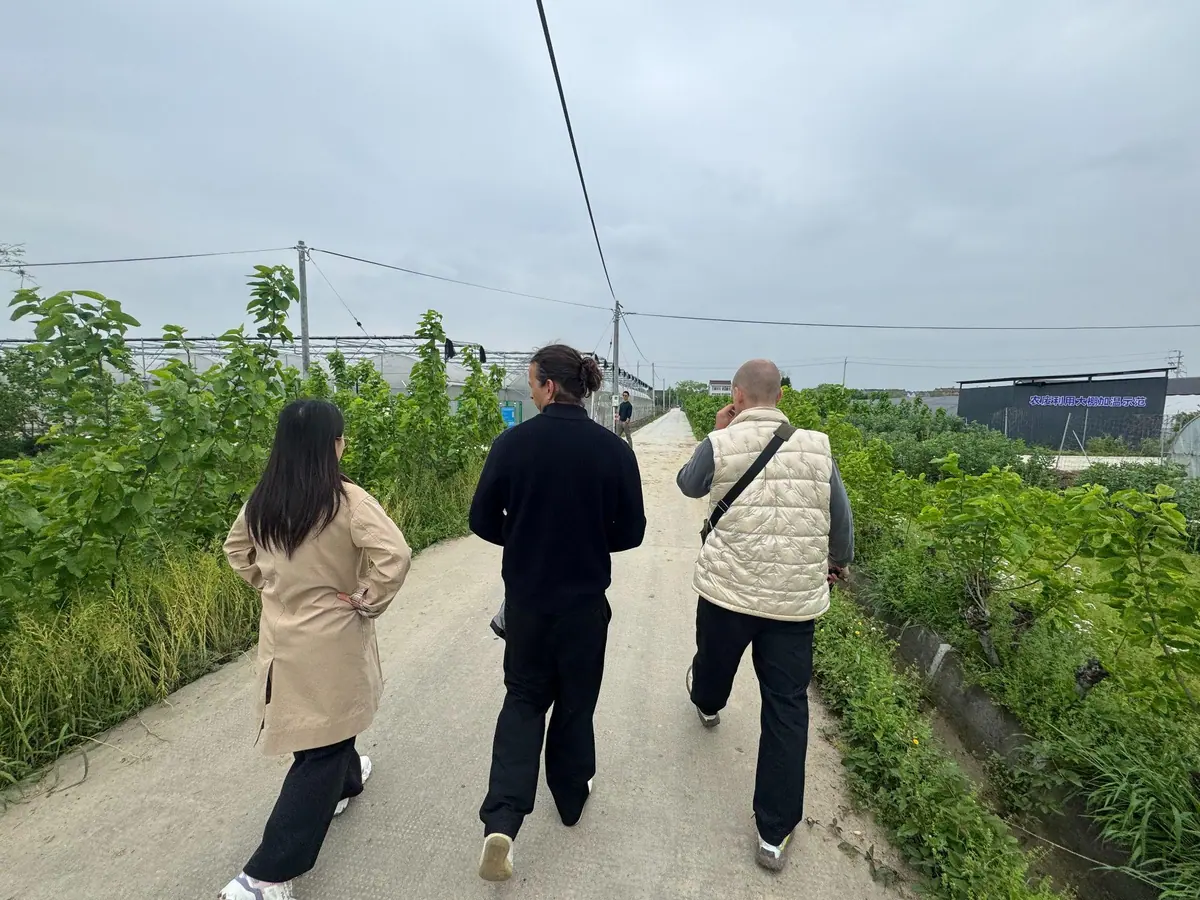 Field application and agricultural base of Tongao