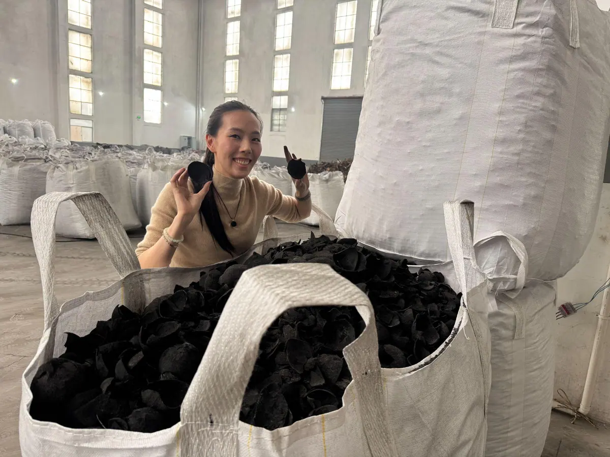 International client visit at a Tongao facility